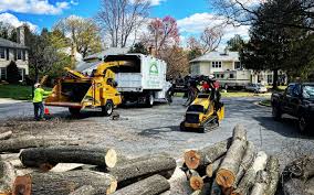 Reliable Central Falls, RI  Tree Services Solutions